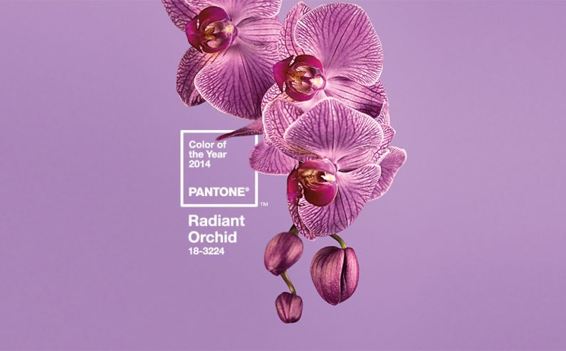 Colore Pantone 2014