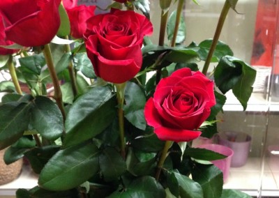 Bouquet of long red roses