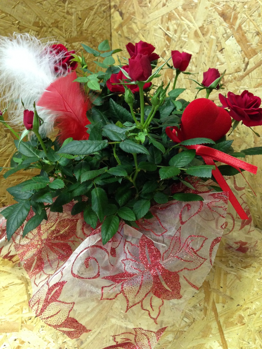 vasetto con rose rosse in confezione regalo per san valentino