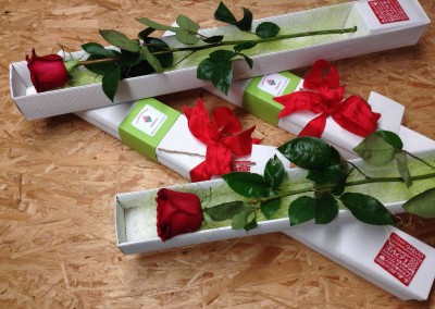 Boxed Rose