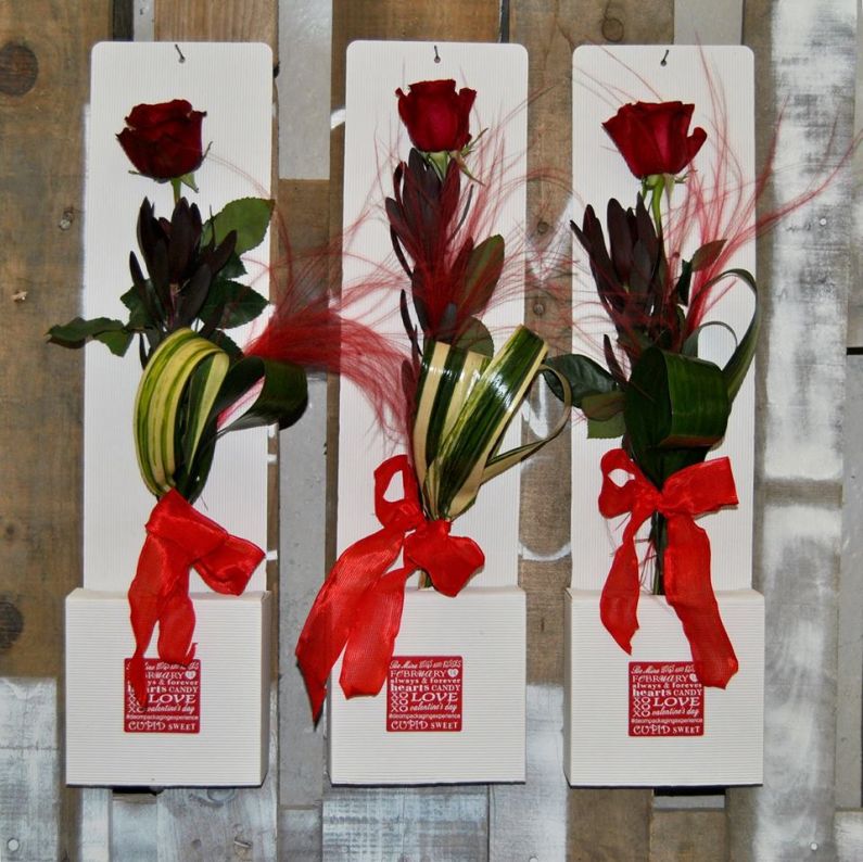 portarosa rossa in ondulato bianco