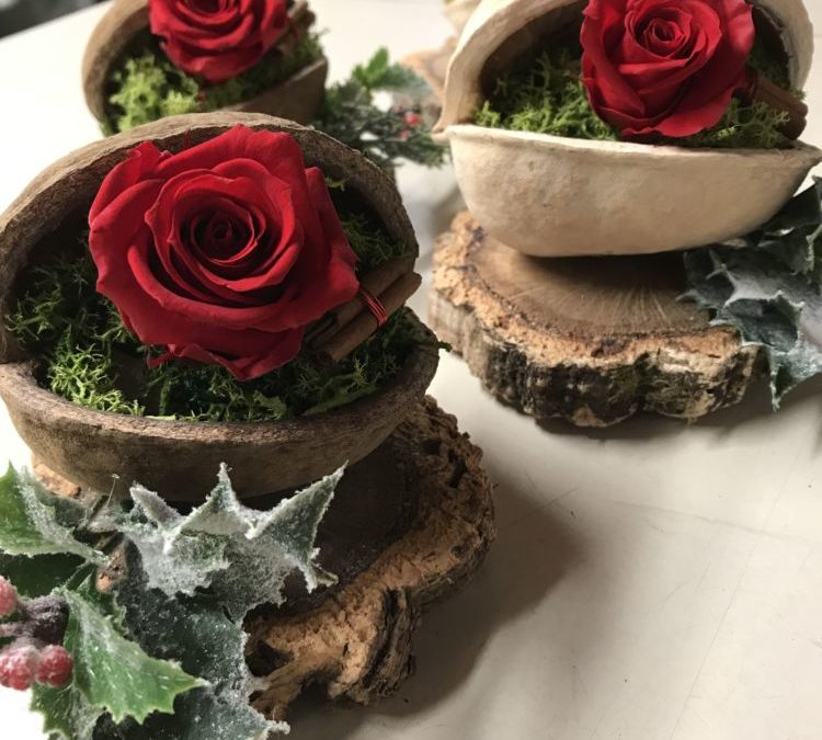 Stabilized Christmas Roses