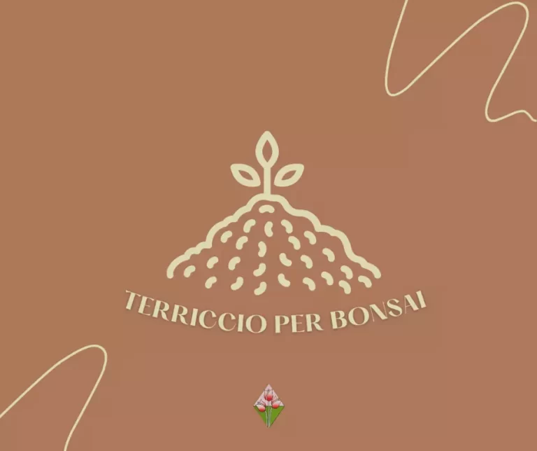 Icona; Terriccio per Bonsai; floricoltura Vannucci; Vivaio; Firenze;