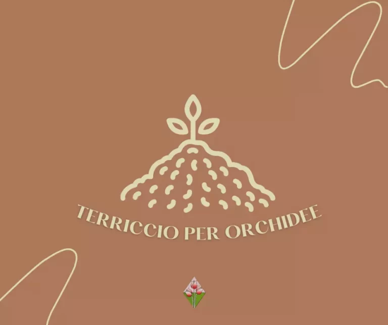 Icona; Terriccio per Orchidee; Vivaio; Firenze; Floricoltura Vannucci;