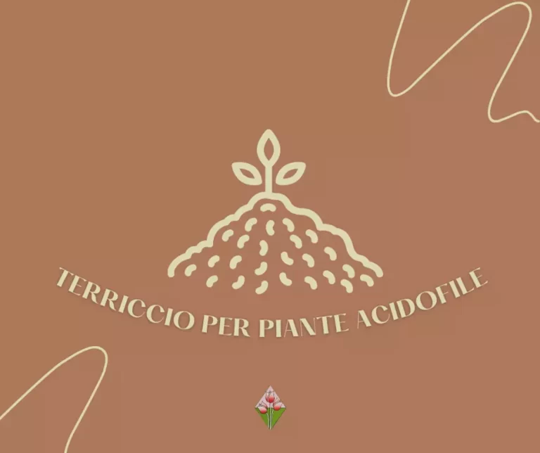 icona; Terriccio Piante Acidofile; Firenze; Floricoltura Vannucci; Vivaio;