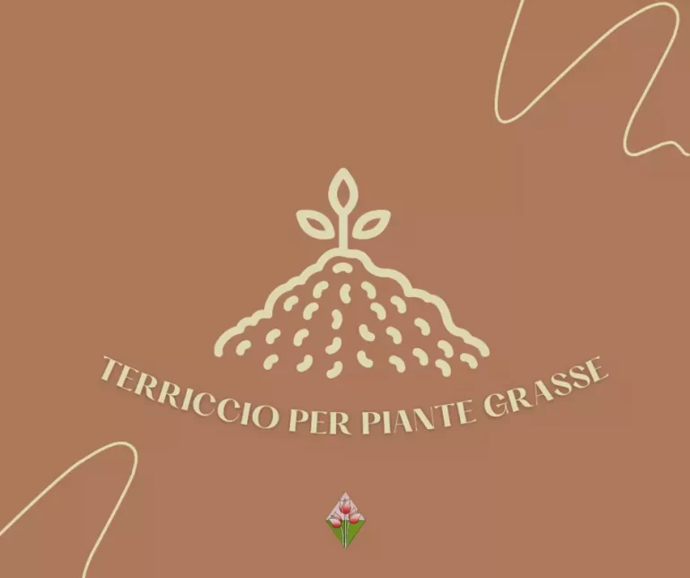 Icona; Terriccio per Piante Grasse; Floricoltura Vannucci; Vivaio; Firenze;